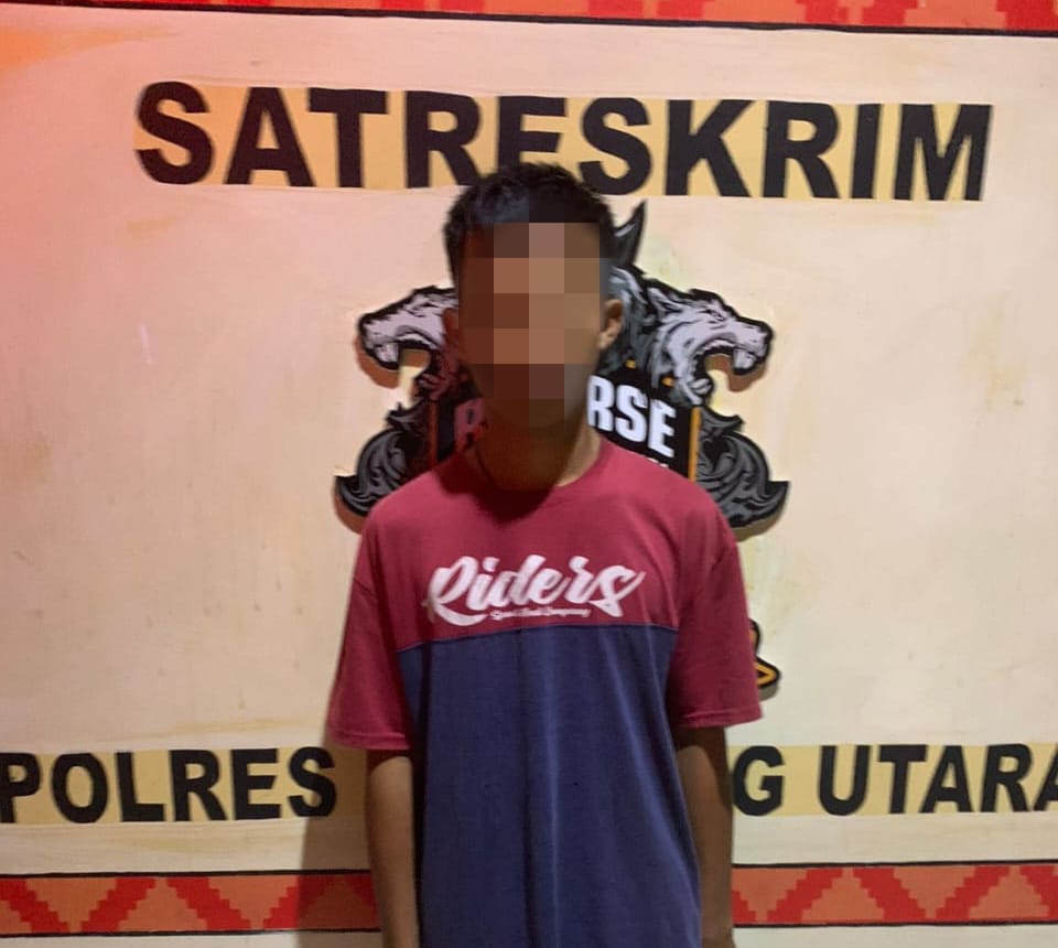 Satu dan Enam Pelaku Pemerkosaan Ditangkap Polisi
