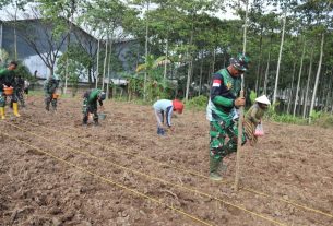 Tindak Lanjuti Perintah Kasad, Kodim 0410/KBL Manfaatkan Lahan