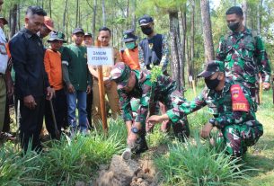 Turut Serta Lestarikan Alam, Kodim 0728/Wonogiri Gandeng Seluruh Elemen Masyarakat Tanam Pohon Di Cagar Alam Hutan Donoloyo