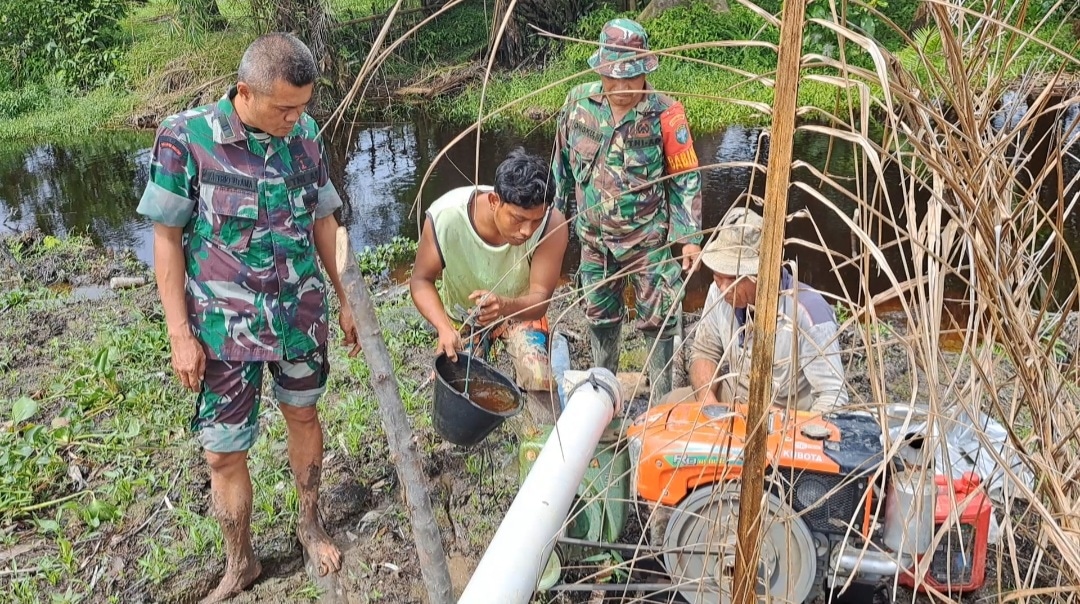 Wadansatgas P3 Kodim 0105/Abar Kerahkan Mesin Pompa Air Dongkrak Indeks Tanam Padi Sawah Tadah Hujan