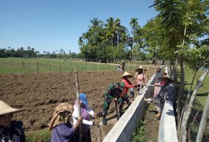 Babinsa Posramil 05/PC Bantu Warga Pasang Pancang Pagar Untuk Lindungi Tanaman Dari Hama