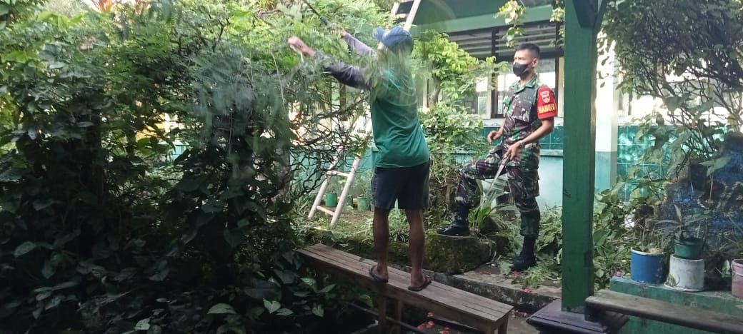 Gotong Royong Babinsa Bersama Tukang Kebun Sekolahan Bersihkan Ranting Pohon