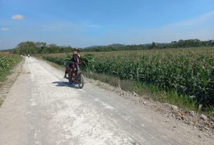 Senyum Lebar Petani Jerukan yang Jalannya di Bangun Satgas TMMD