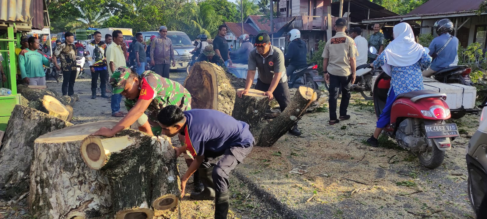 TNI Bersama BPBD dan Masyarakat Evakuasi Pohon Tumbang Yang Melintang Di Jalan Nasional Desa Peunaga Cut Ujong