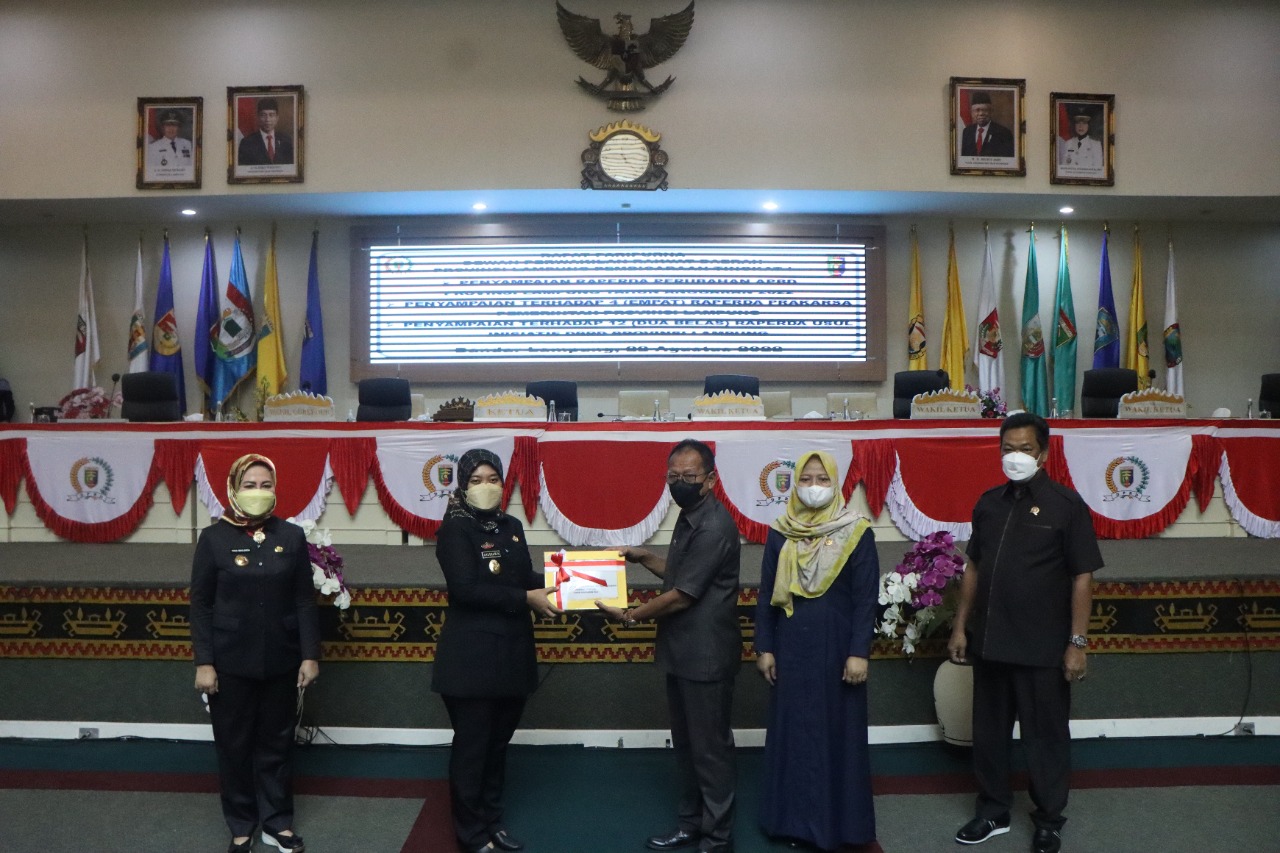 Wagub Chusnunia Sampaikan 4 Raperda Prakarsa Pemprov Lampung