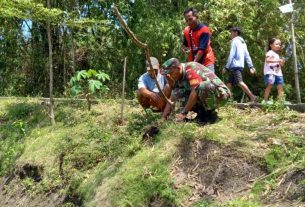 Babinsa Bersama Warga hijaukan Embung Brongkos