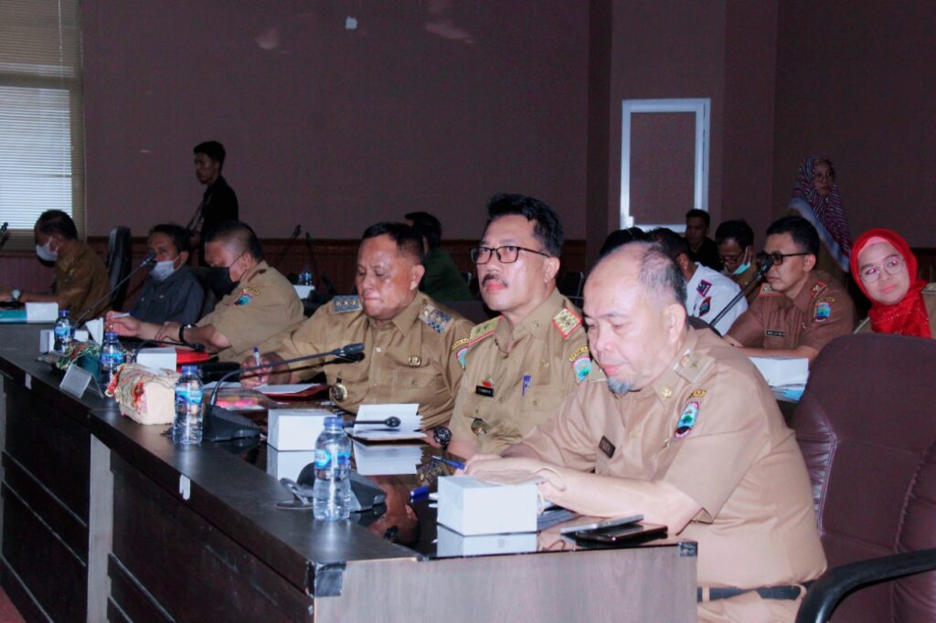 Bupati Lampung Selatan H. Nanang Ermanto Ikuti Rakornas TPID Bersama Mendagri