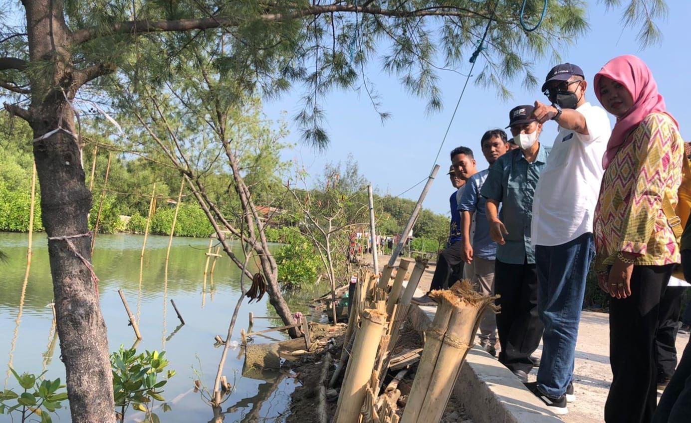 FABA PLN Perkuat Konstruksi Jalan dan Tanggul Penangkal Banjir Rob di Demak Jateng