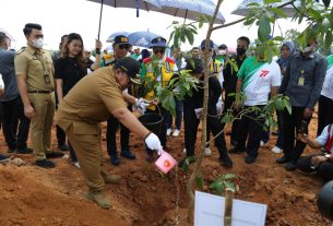 Gubernur Arinal Lakukan Penanaman 1.770 Bibit Pohon di Bendungan Margatiga Lampung Timur