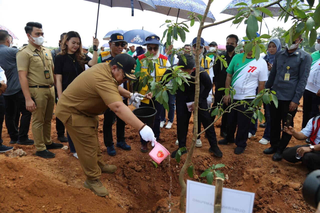 Gubernur Arinal Lakukan Penanaman 1.770 Bibit Pohon di Bendungan Margatiga Lampung Timur