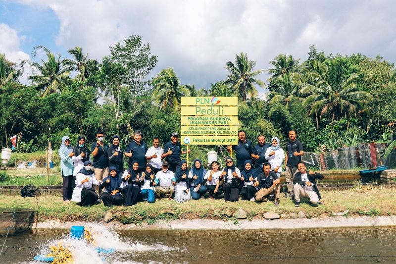 Komisaris PLN Apresiasi Program Budidaya Ikan Wader di Yogyakarta Binaan PLN bersama UGM