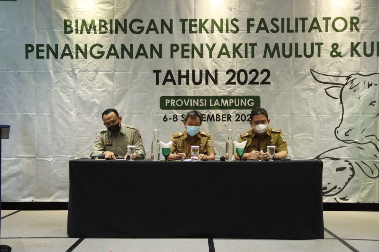 Pemprov Lampung Gelar Bimbingan Teknis Penanganan Penyakit Mulut dan Kuku