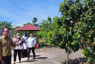 Usai Audiensi Bersama Bupati Lampung Selatan Akademisi ITERA Langsung Kunjungi Kebun Eduksi