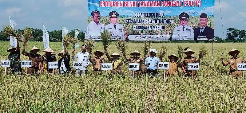 Bupati Mesuji Hadiri Panen raya Desa Tlogorejo