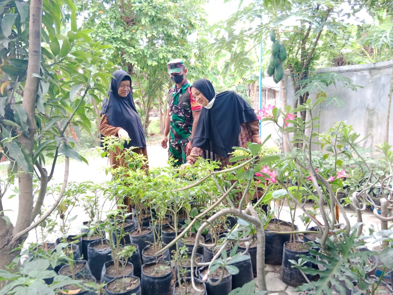 Babinsa Ajak Warga Manfaatkan Lahan Kosong Jadikan Sumber Pendapatan