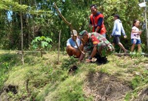 Babinsa Sambi Lakukan Penghijauan Bersama Warga