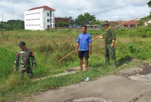 Bantu Ketahanan Pangan Babinsa Banyuanyar Aktif Turun Ke Sawah Bantu Petani