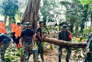 Bersama Masyarakat, Satgas TMMD 115 dan BPBD Bojonegoro evakuasi Pohon Tumbang