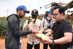 Lihat Perkebunan Nanas PT GGP, Mahasiswa Asing IIB Darmajaya: Enak dan Manis