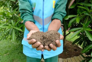 Manfaatkan FABA untuk Pupuk, Produksi Pertanian Meningkat 15 Persen