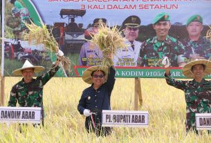 Panen Raya Program Ketahanan Pangan Kodim 0105/Abar Berkolaborasi Dengan RTA Menuai Hasil Yang Melimpah