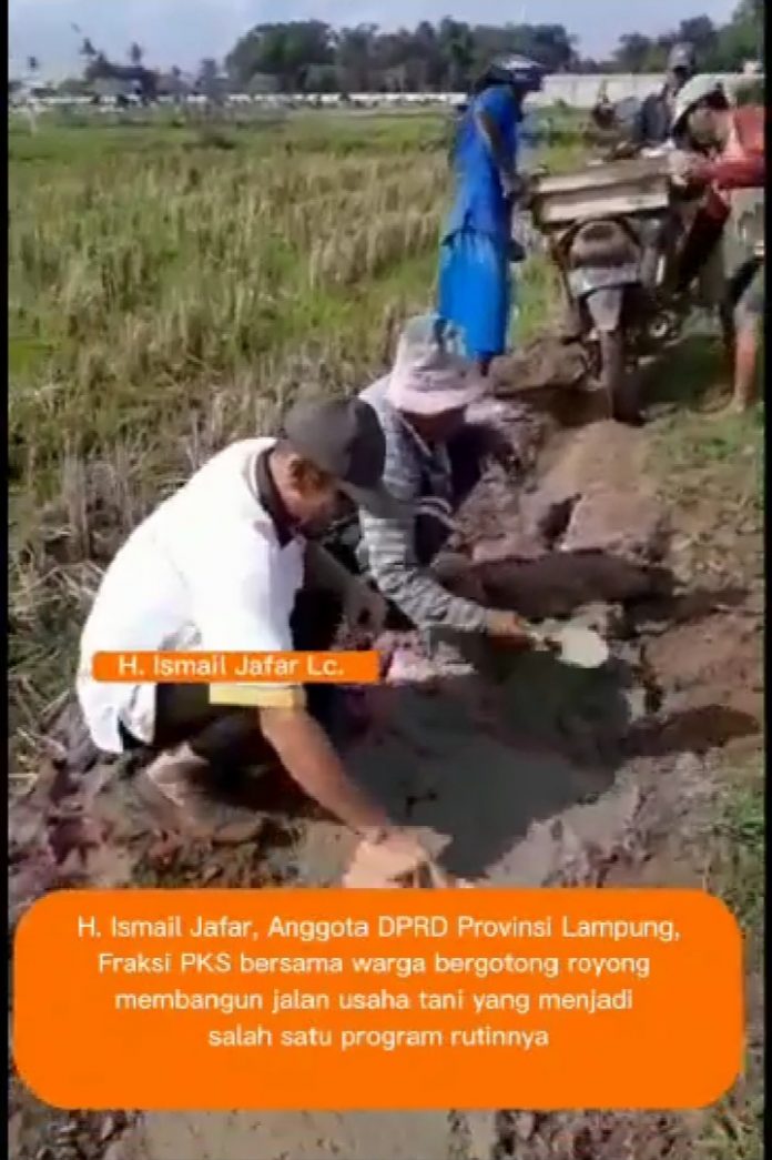 Anggota DPRD Provinsi Lampung Bersama Warga Benahi Jalan Sawah