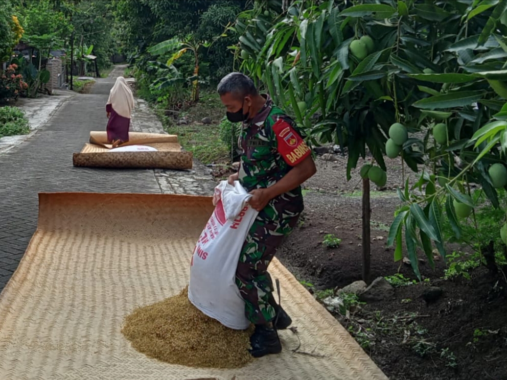 Terima Kasih Warga Babinsa Tetap Membantu Pasca Panen