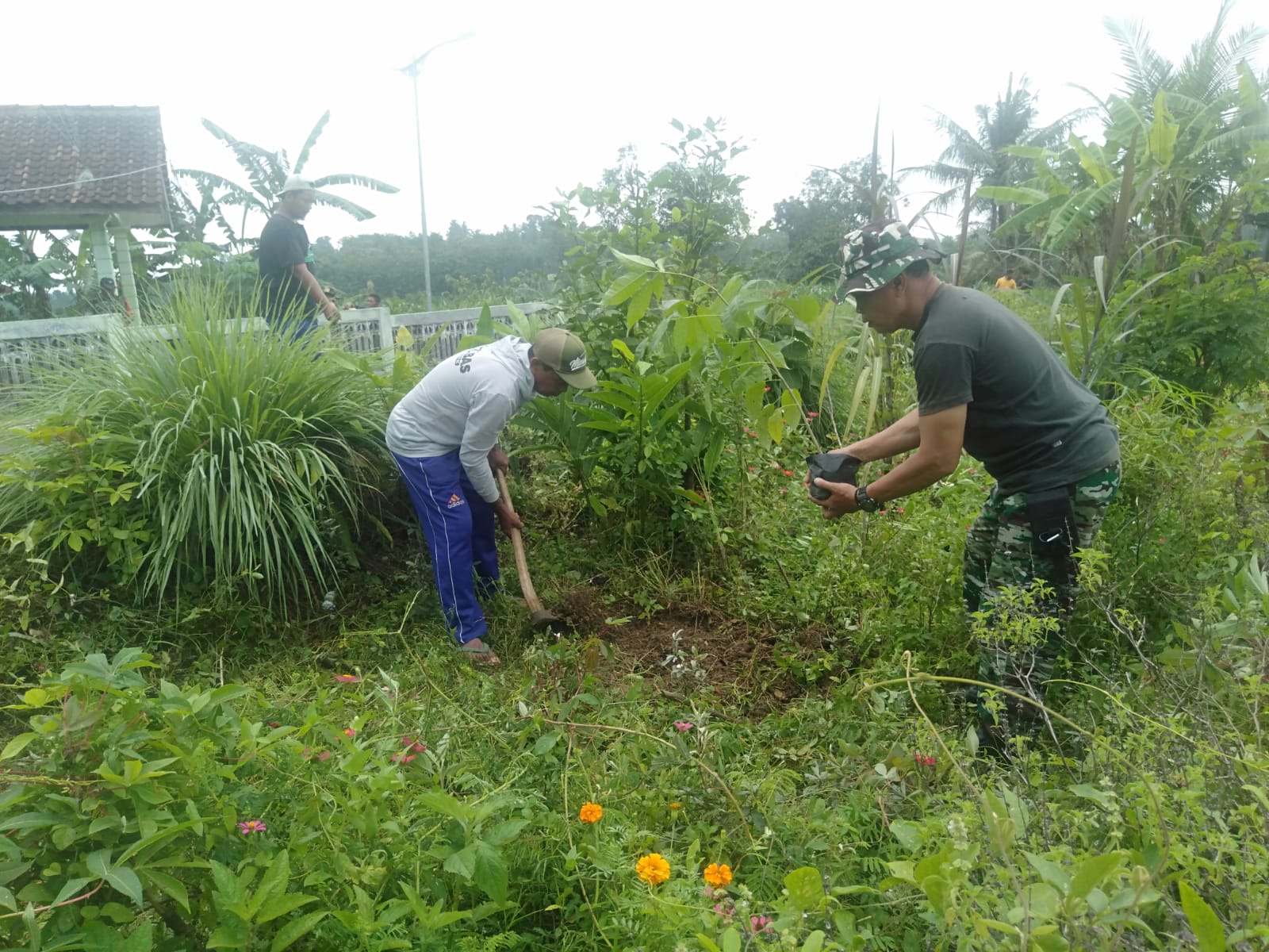 ksi Babinsa Wonosegoro Pelopori Penghijauan di Lahan Kosong