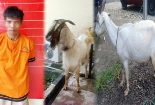 Curi Kambing di Tulang Bawang, Warga Ogan Ilir Ditangkap Polisi