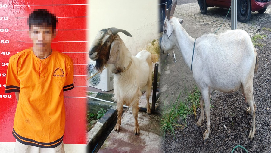 Curi Kambing di Tulang Bawang, Warga Ogan Ilir Ditangkap Polisi