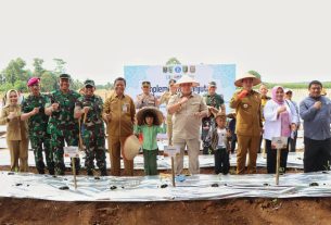 Gubernur Arinal Melakukan Gerakan Tanam Cabai di Kabupaten Pesawaran