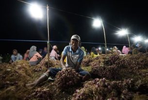 Kisah Mohammad Ali, Petani Bawang Merah Asal Bima NTB Sukses Usir Hama dengan Listrik PLN