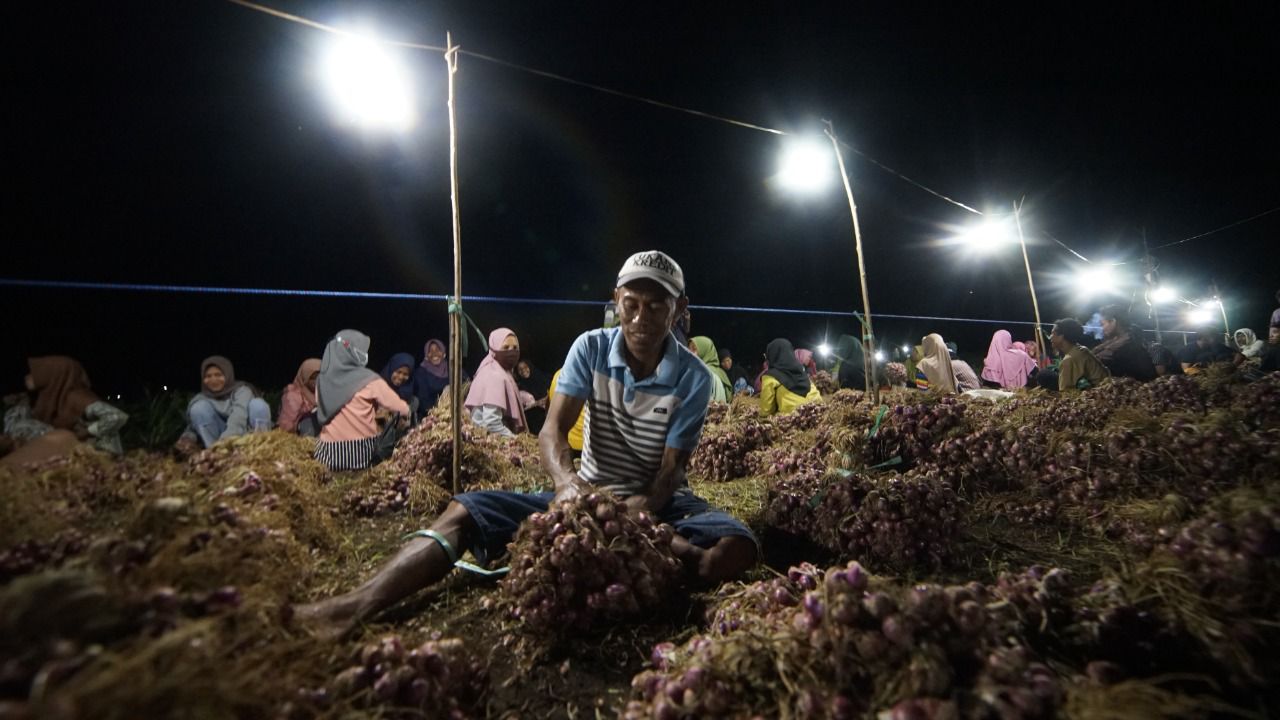 Kisah Mohammad Ali, Petani Bawang Merah Asal Bima NTB Sukses Usir Hama dengan Listrik PLN