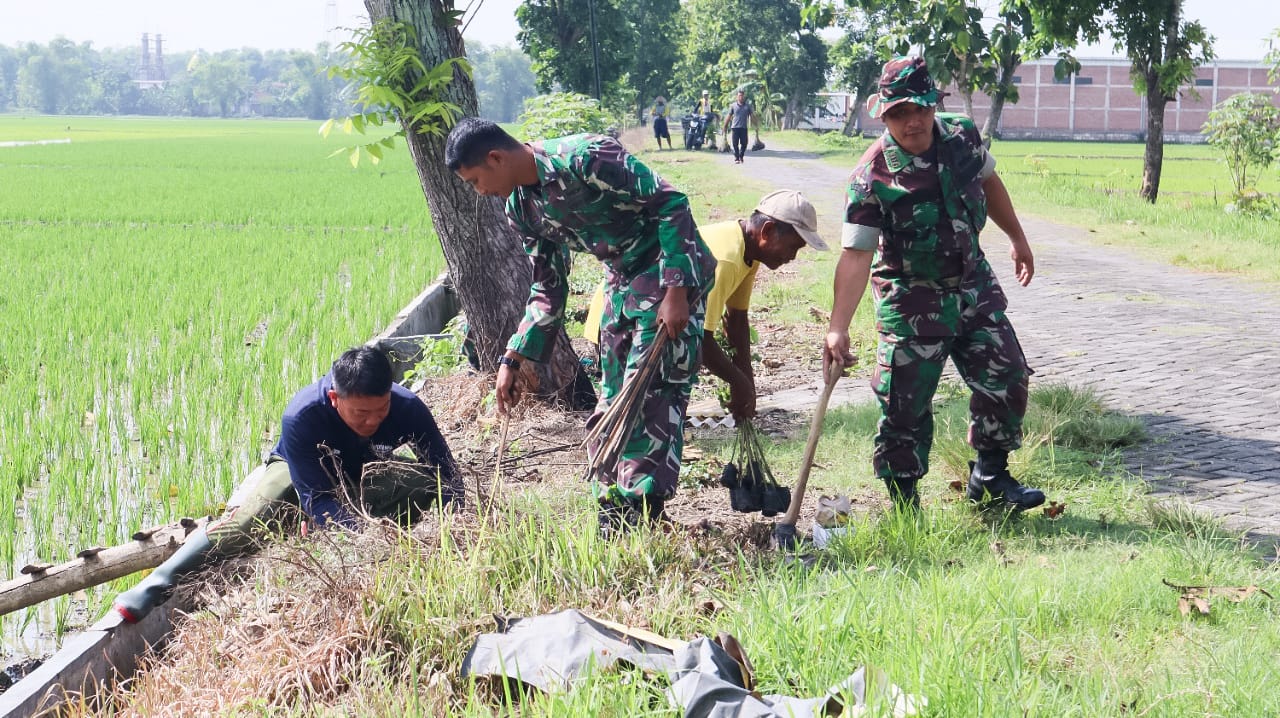 Pembinaan Lingkungan Hidup, Kodim Bojonegoro tanam ribuan Pohon Penghijauan