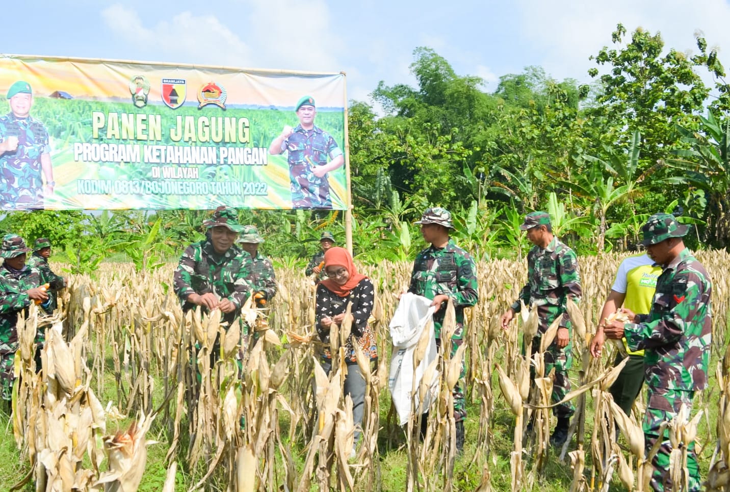 Perkuat Ketahanan Pangan, Kodim Bojonegoro Panen Raya Jagung