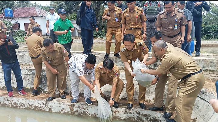 Petani ikan terkendala pemasaran, Wabub Lampura berupa datangkan pengusaha dari luar