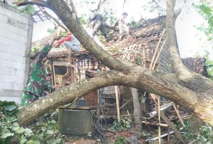 Rumah Warga Tertimpa Pohon, Danramil Wonosegoro Pimpin Bantu Evakuasi