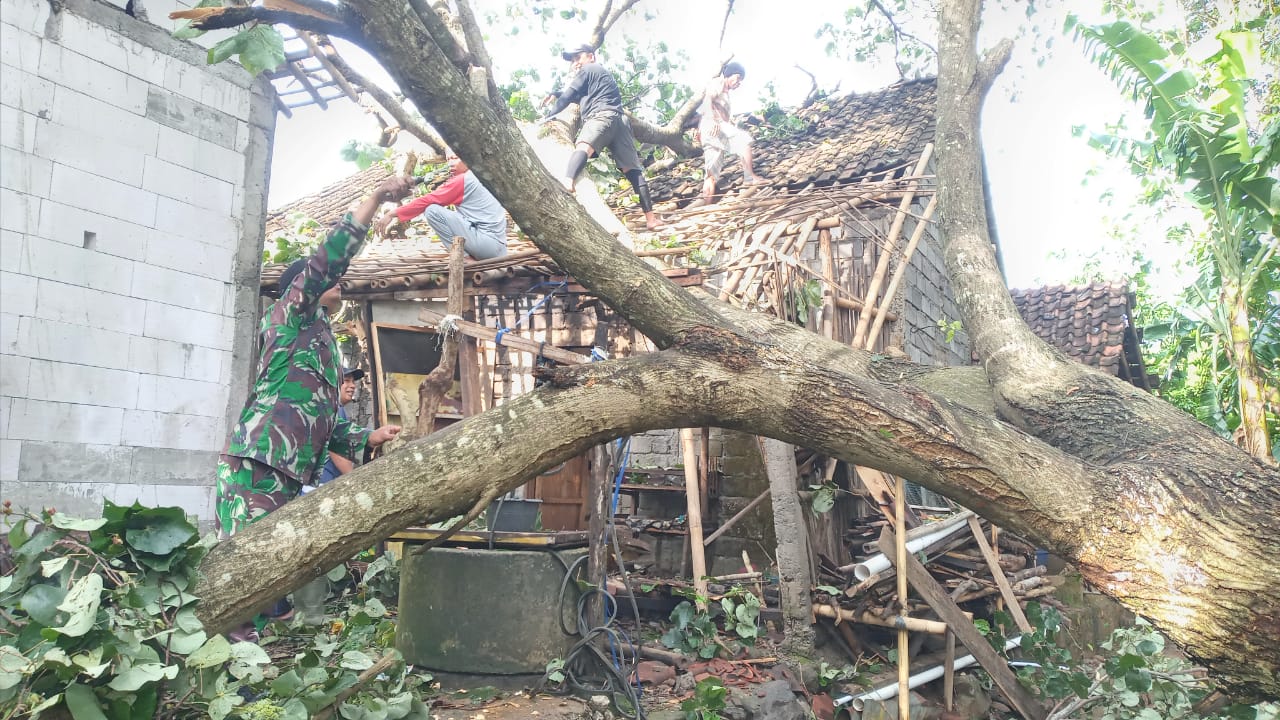 Rumah Warga Tertimpa Pohon, Danramil Wonosegoro Pimpin Bantu Evakuasi