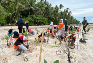 Serap Emisi 5,5 Juta ton CO2, PLN Tanam Lebih dari 1,47 Juta Pohon