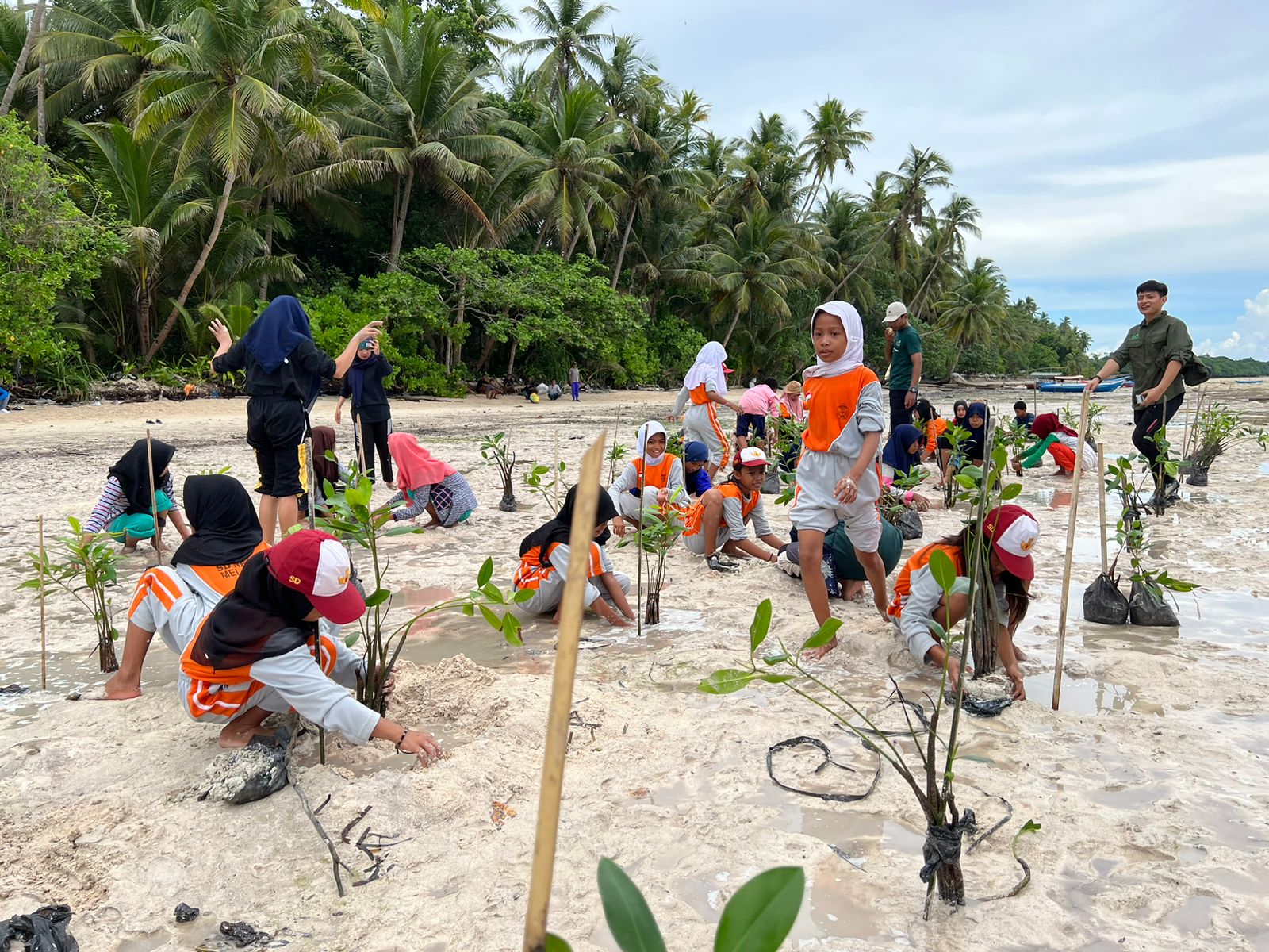 Serap Emisi 5,5 Juta ton CO2, PLN Tanam Lebih dari 1,47 Juta Pohon