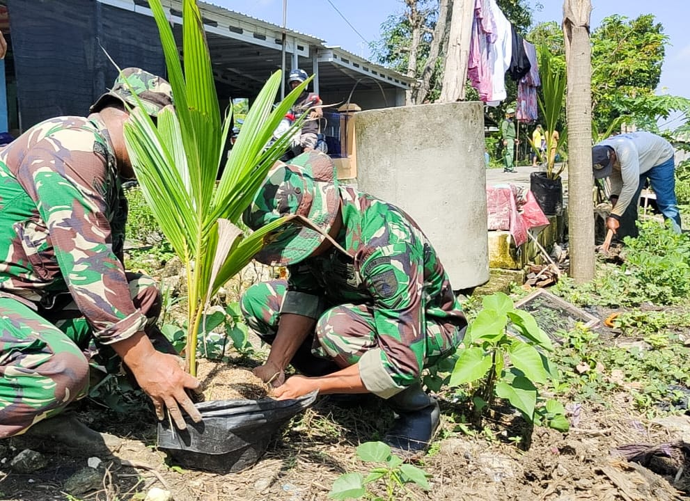 Sinergitas TNI di Bojonegoro bersama Masyarakat Tanam Ratusan Pohon Kelapa Genjah