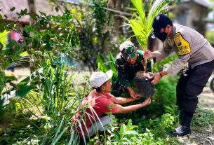 Bersama Masyarakat, Babinsa Kapas Bojonegoro tanam ratusan Pohon Produktif