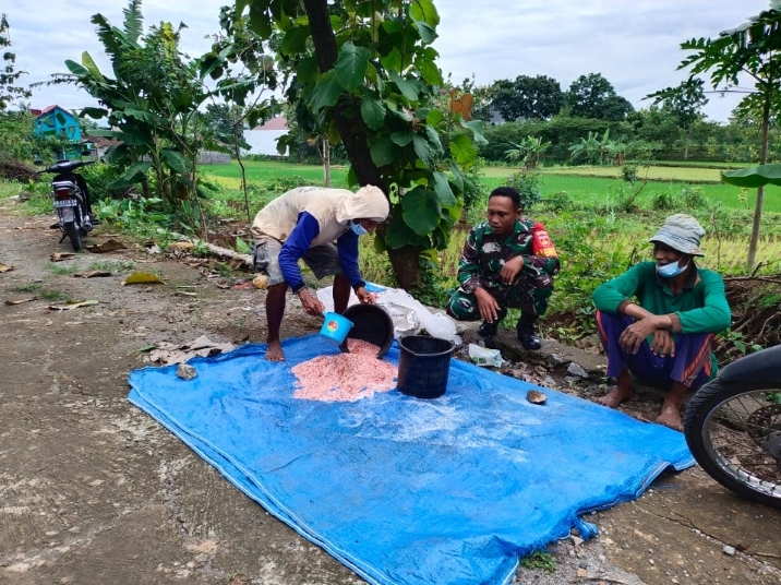 Sukseskan Ketahanan Pangan, Babinsa Guli Bantu Tebar Pupuk Petani