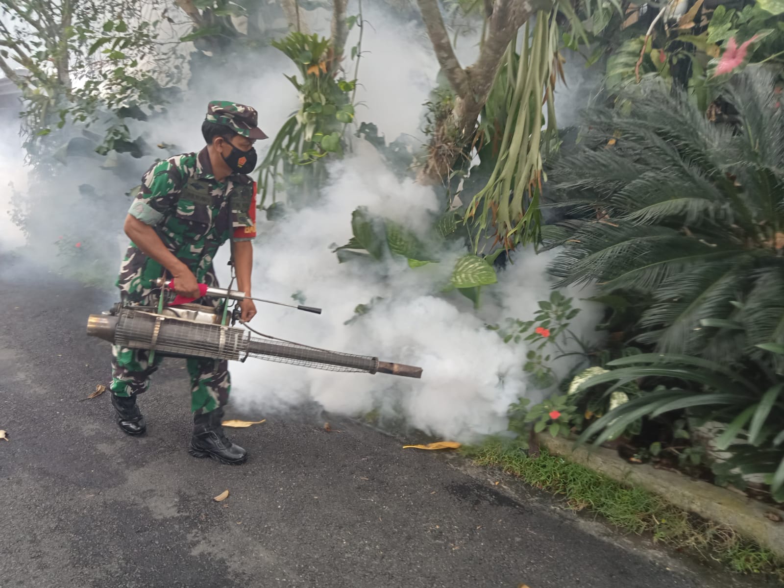 Basmi Sarang Nyamuk DBD, Babinsa Laksnakan Fogging