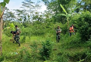 Peduli Akan Kelestarian Alam, Anggota Koramil Bersama Relawan Tanam Puluhan Bibit Pohon