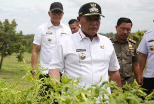 Petani Milenial Yang di Gagas Pemkab Lampung Selatan Terus Berprogres