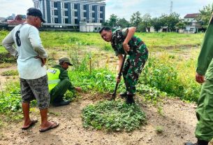 Pimpin Pelaksanaan Pemeliharaan Tanaman Pohon, Danramil 01/Laweyan Terjun Langsung Ke Lapangan