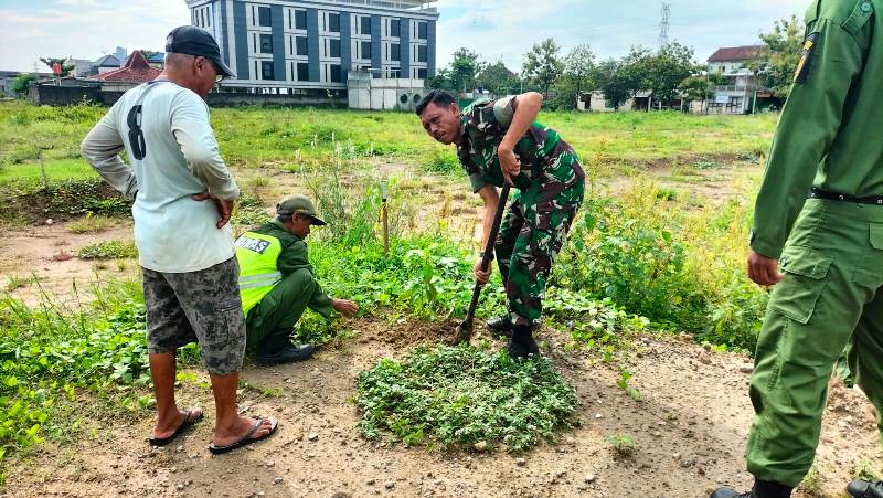 Pimpin Pelaksanaan Pemeliharaan Tanaman Pohon, Danramil 01/Laweyan Terjun Langsung Ke Lapangan