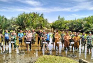 Aksi Dandim 0105/Abar Bersama Pemerintah Dan Masyarakat Tanam 5.000 Bibit Mangrove