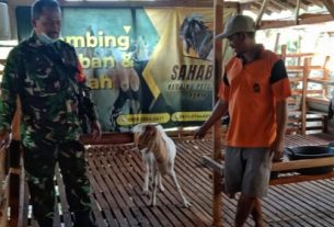 Babinsa Motivasi Peternak Dukung peningkatan Kesejahteraan Masyarakat